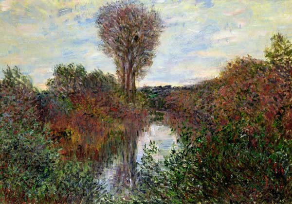 Small Branch of the Seine de Claude Monet