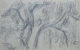 Reflections of Willows, c.1918 (black crayon on blue-gray paper)