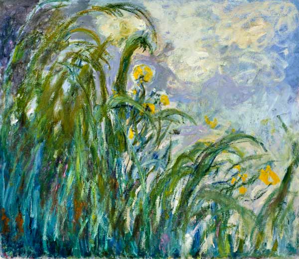 The Yellow Iris de Claude Monet