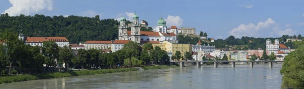 Blick auf Passau de Claus Lenski