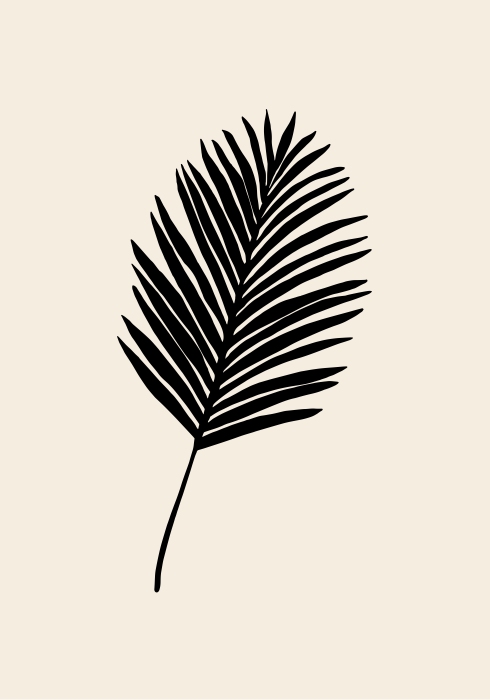 Black Palm de Graphic Collection