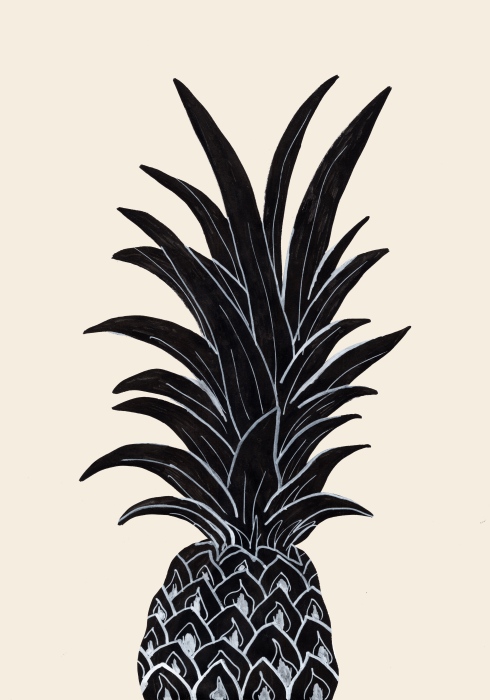 Black Pineapple de Graphic Collection