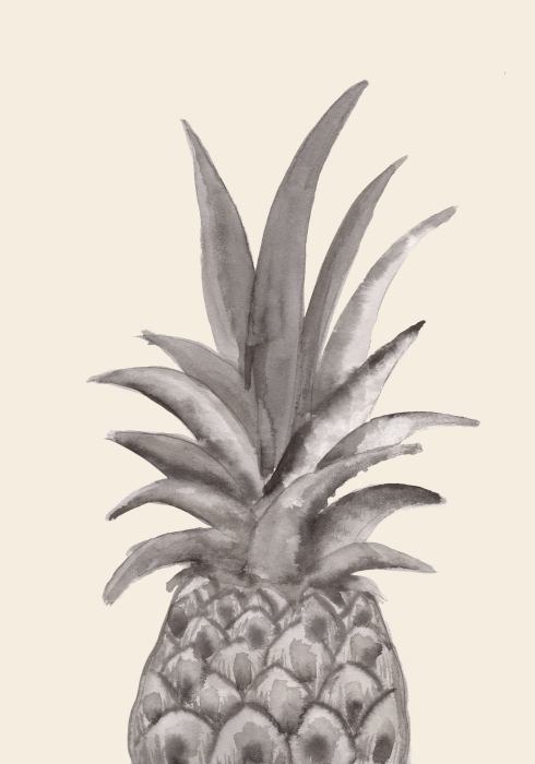 Ink Pineapple de Graphic Collection