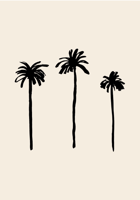 Palm Trees de Graphic Collection