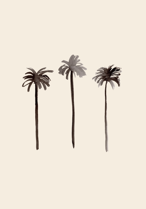 Palm Trees Ink de Graphic Collection