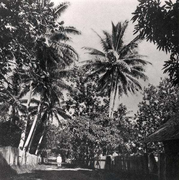 A Street in Papeete, from ''Tahiti'', published in London, 1882 (b/w photo)  de Colonel Stuart-Wortley