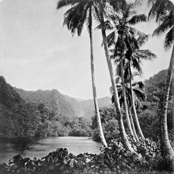 Hitiaa Lake, from 'Tahiti', published in London, 1882 (b/w photo) de Colonel Stuart-Wortley