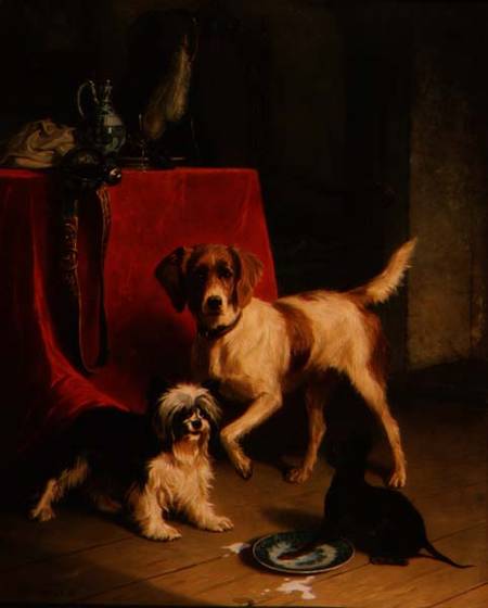 Three dogs de Conradyn Cunaeus