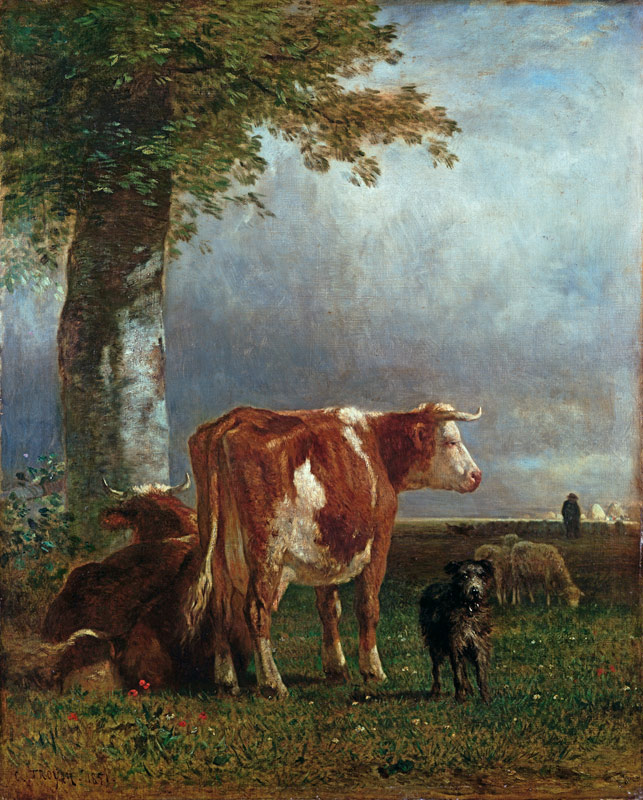 Cows in a meadow de Constant Troyon