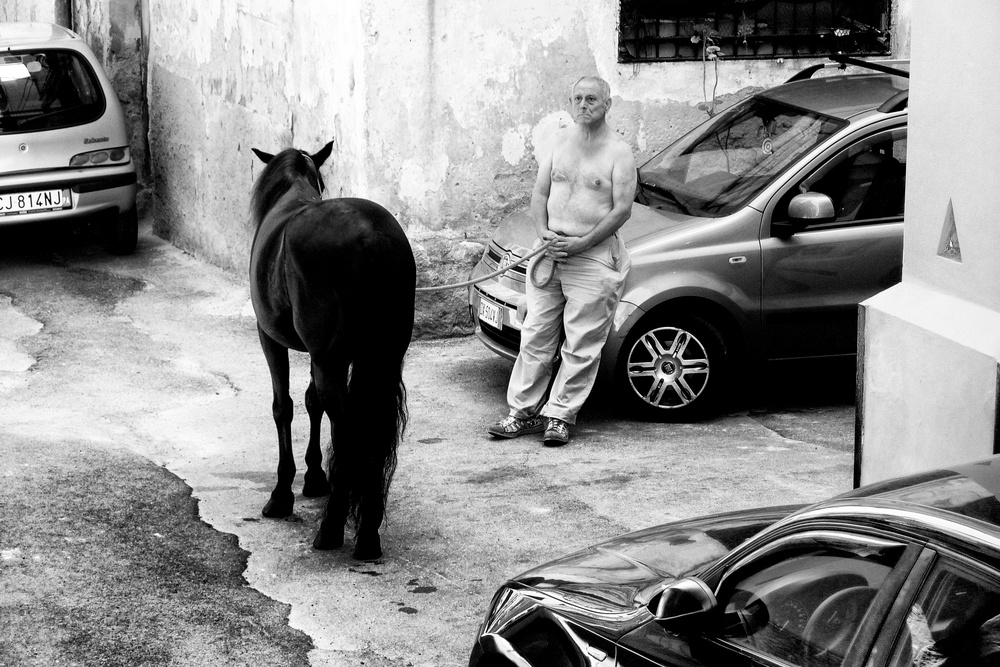 Man with Horse in Palermo Sicily de Constantine Matsos