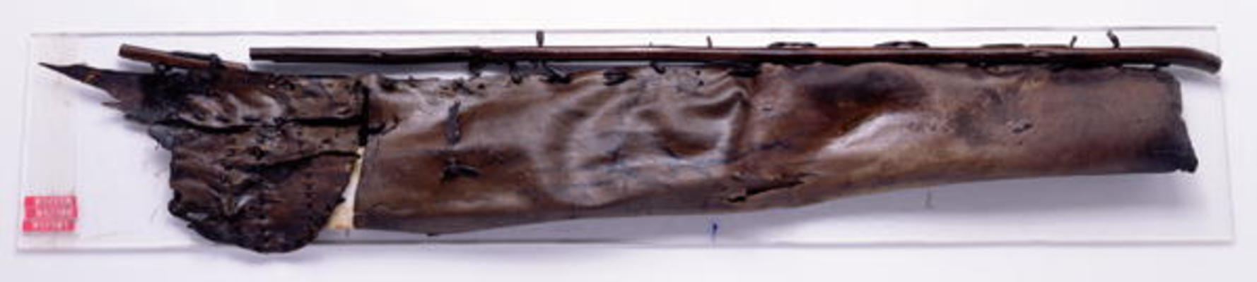 Quiver found with the Oetzi Iceman (chamois leather) de Copper Age