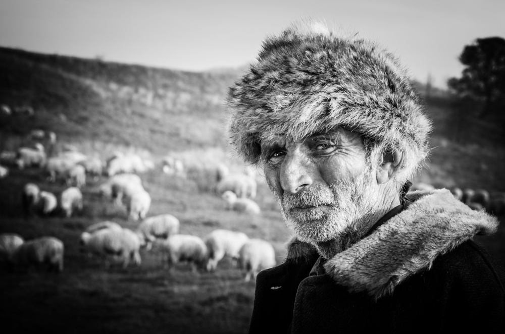 The shepherd de Cornel Mosneag