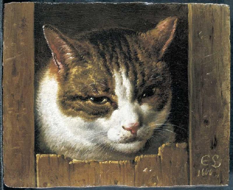 Eine Katze guckt durch einen Zaun de Cornelis Saftleven