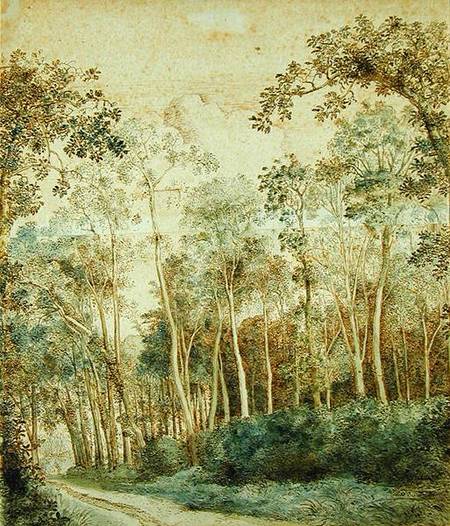 Wooded Landscape (pen and brown ink and w/c on paper) de Cornelis Vroom