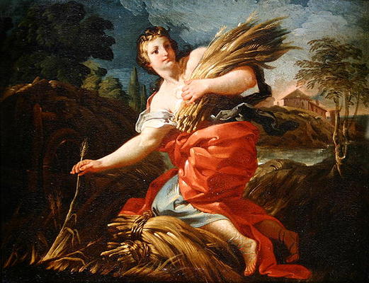 Ruth the Gleaner (oil on canvas) de Corrado Giaquinto