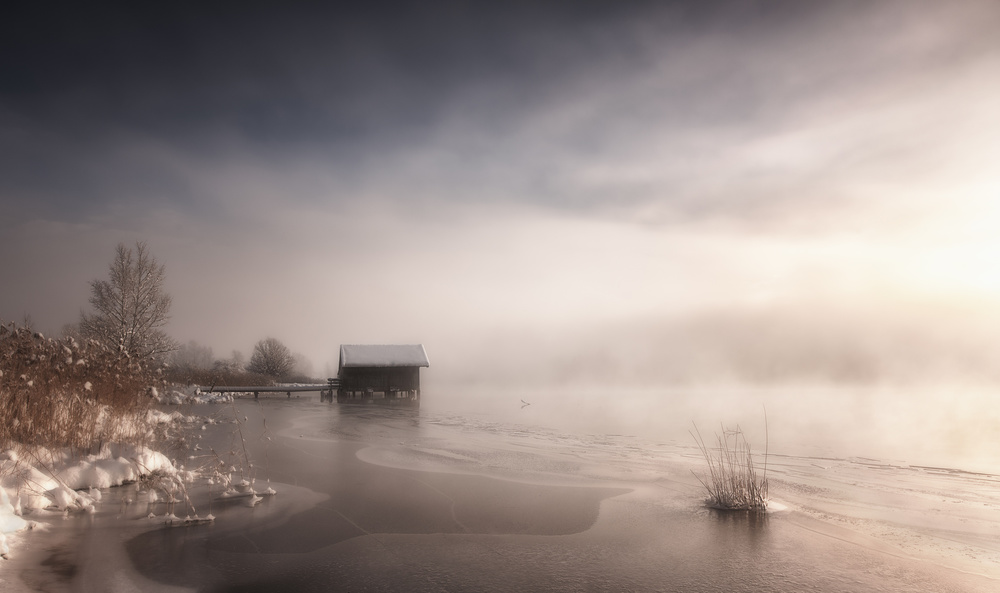 Misty Winter Morning de Corry DeLaan