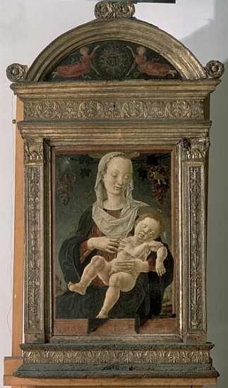 Madonna and Child de Cosimo Tura