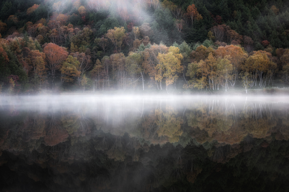 The mystical pond in the autumn 3 de Daiki Suzuki