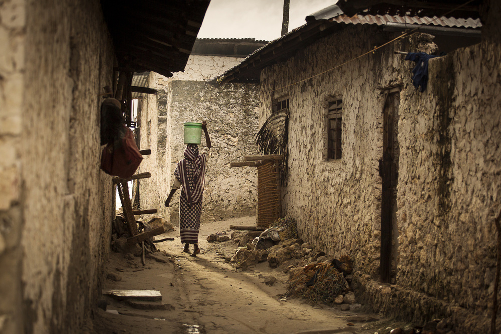Woman in the village de Dan Mirica