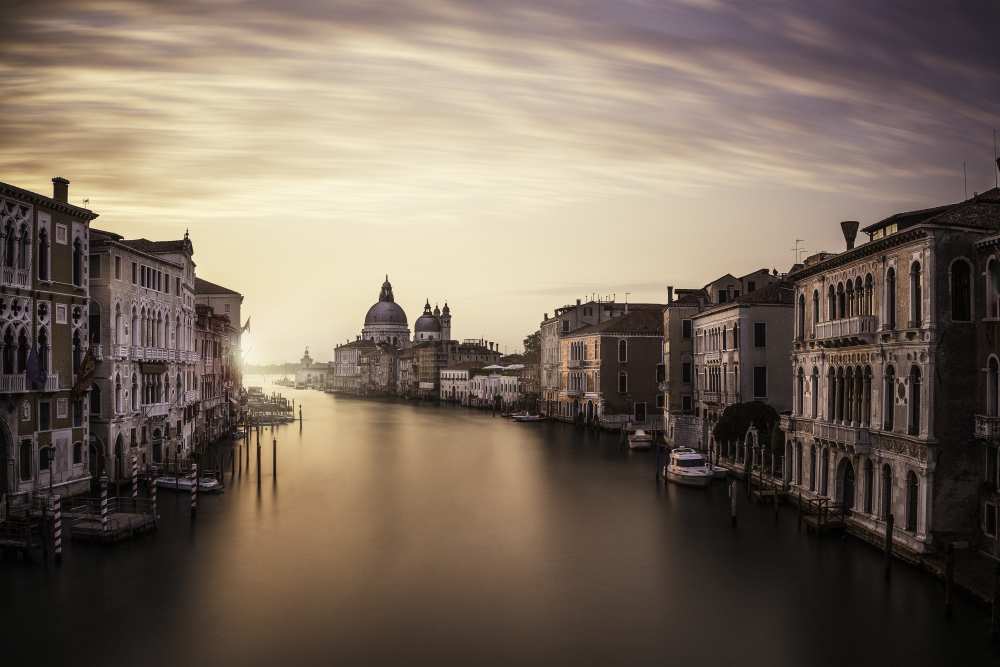 Venice de Dan Muntean