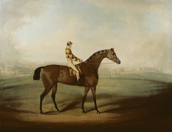 Portrait of Bruitandorf with jockey up and Chester Racecourse Beyond de Daniel Clowes