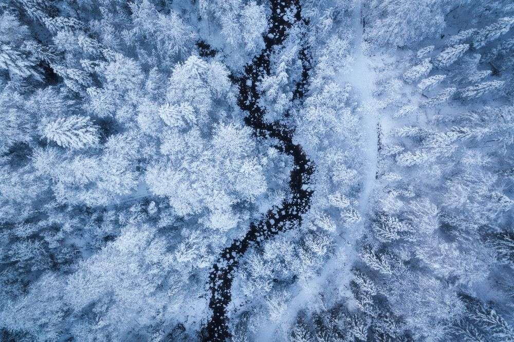 A Freezing Cold Beauty de Daniel Fleischhacker