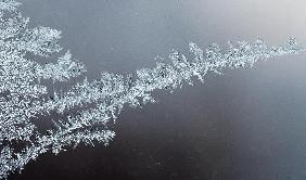 Eisblumen auf Fensterscheibe