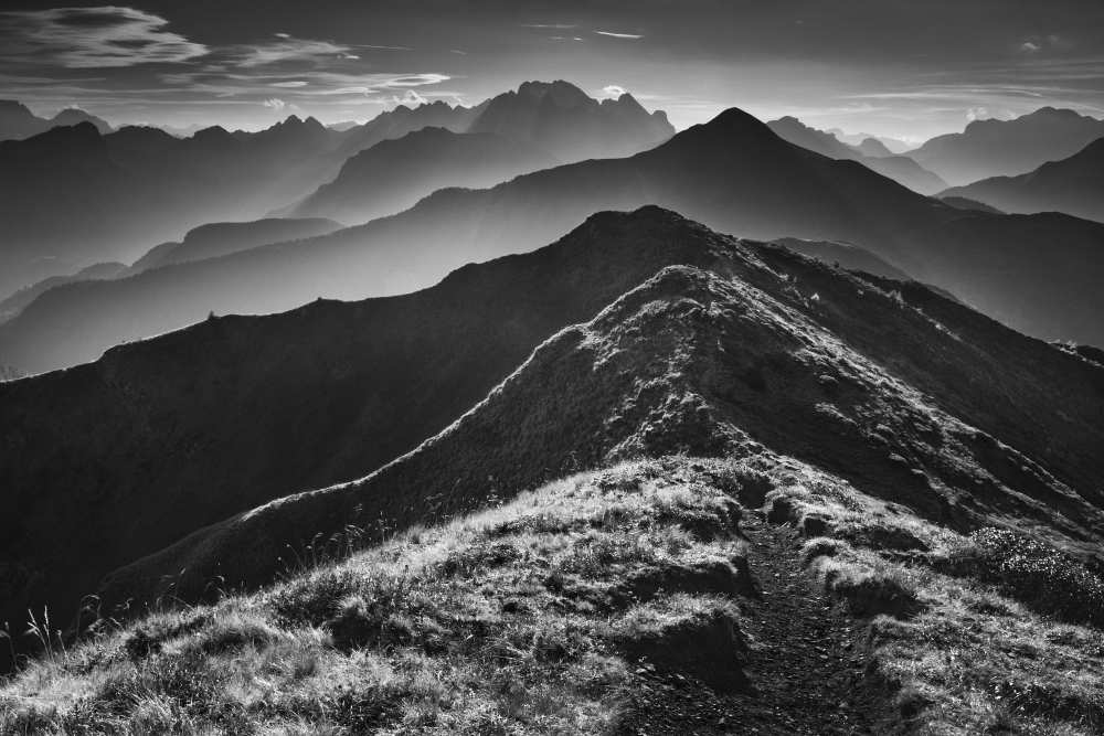 Alpine Horizons de Daniel Rericha