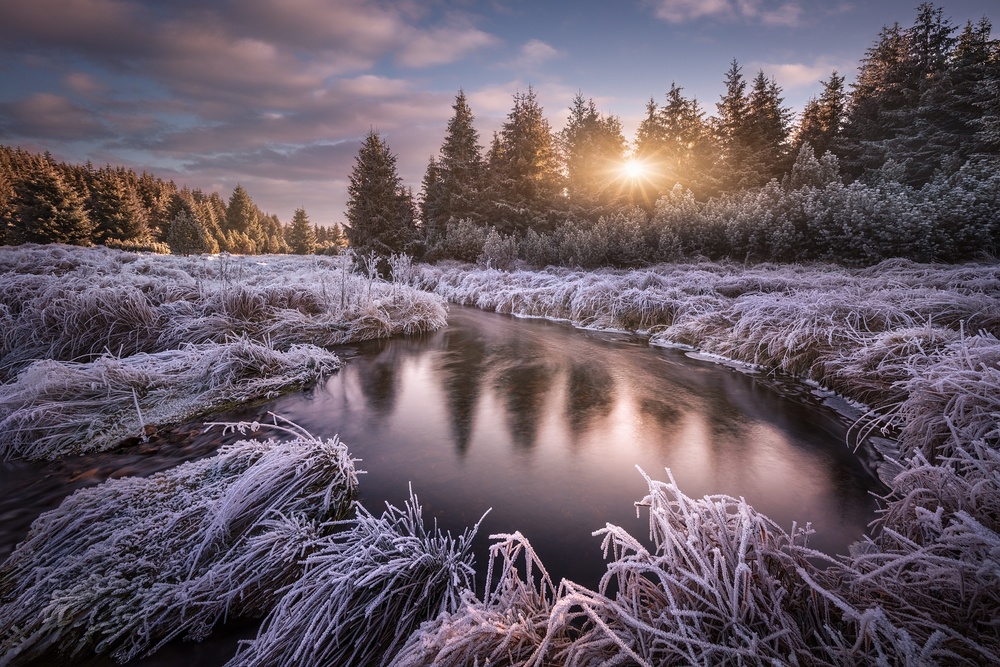 Frosty morning at the creek... de Daniel Rericha