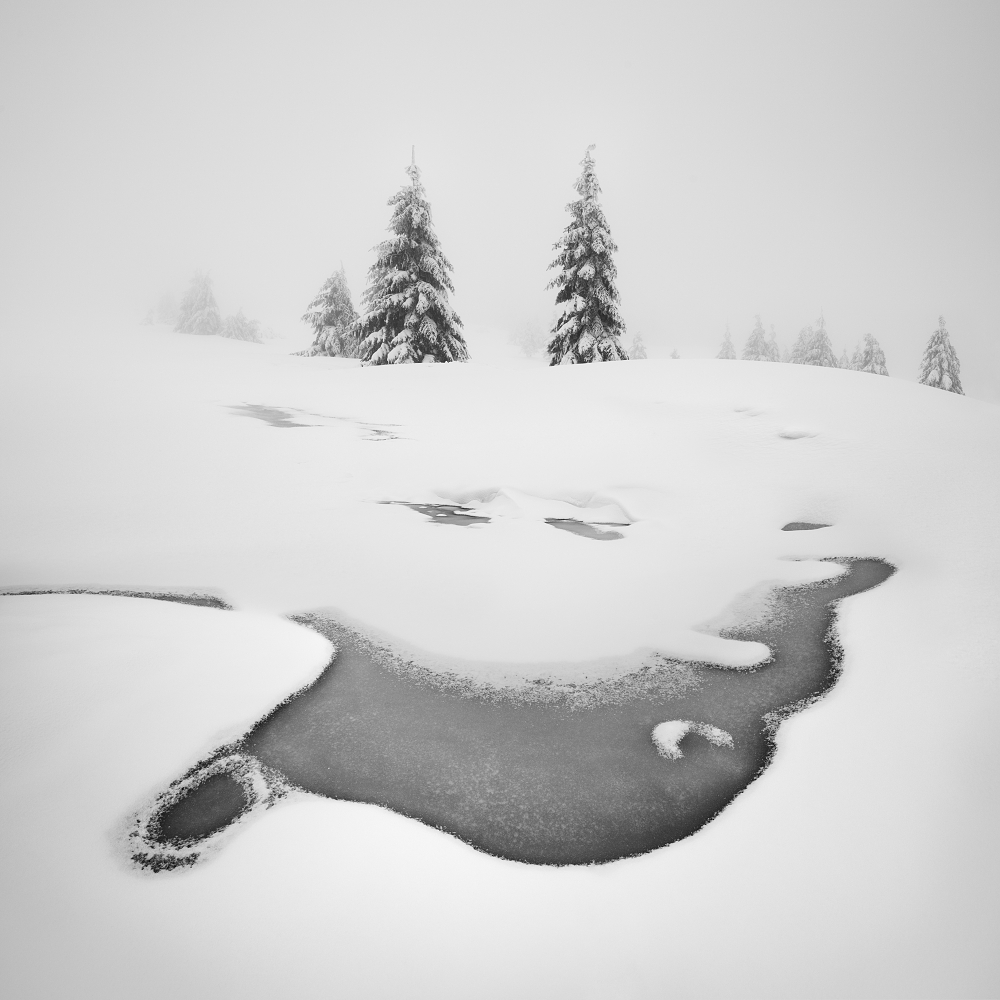 Frozen swamps de Daniel Rericha