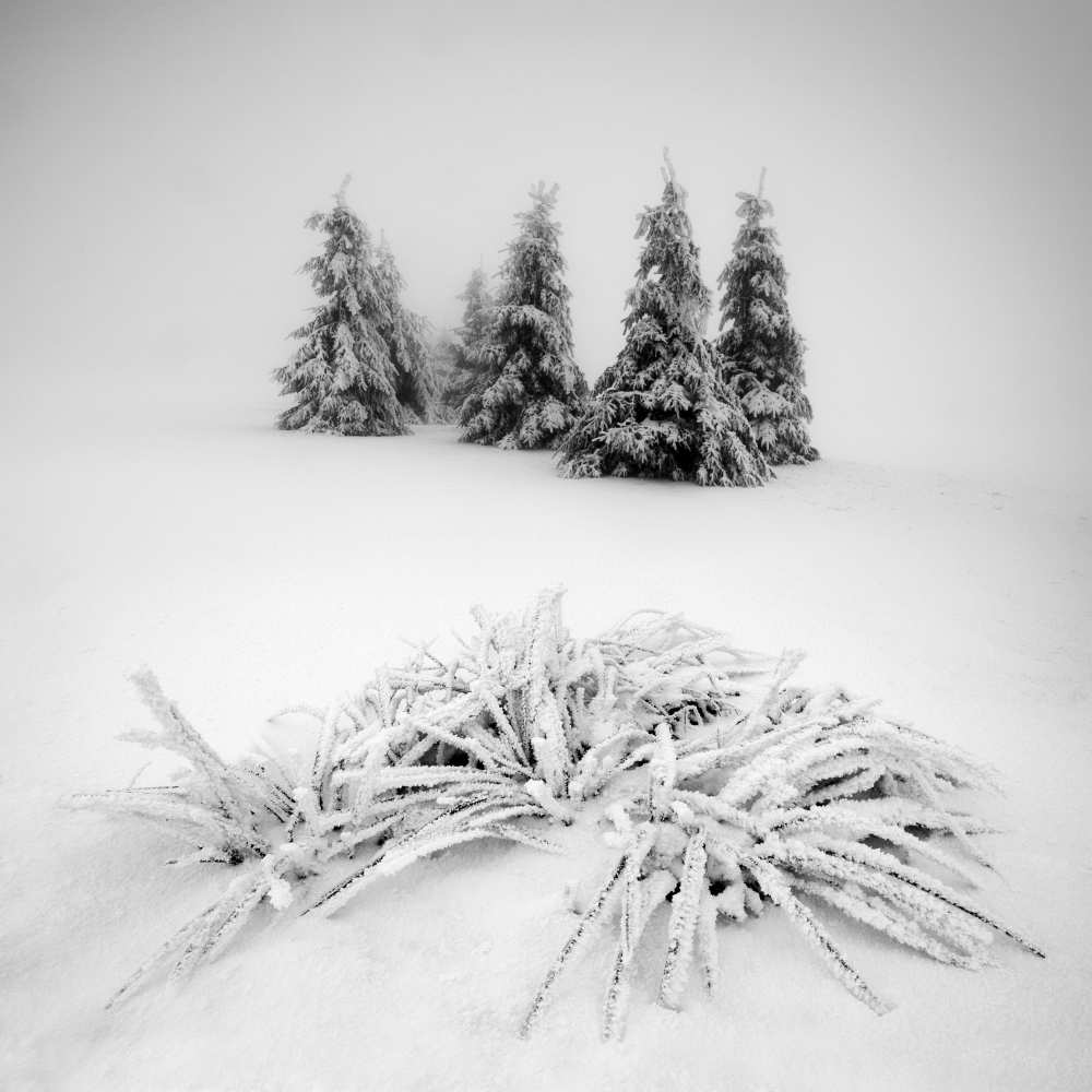Winter scenery de Daniel Rericha
