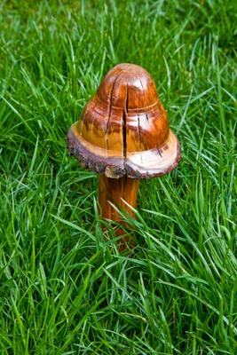 Wooden Mushroom de Dave Frederick