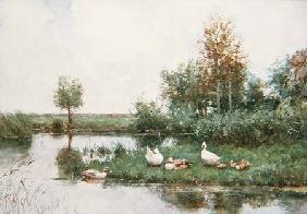 Ducks in a River Landscape