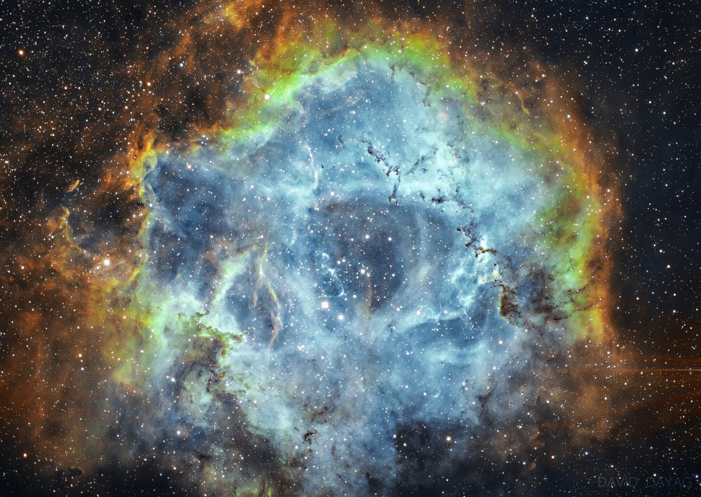 The Rosette Nebula de David Dayag