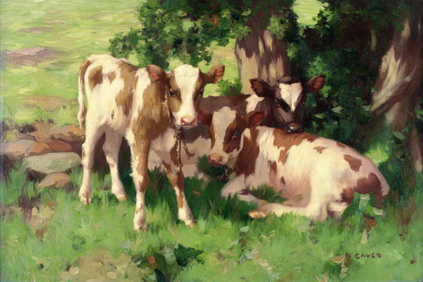 Three Calves in the Shade of a Tree de David Gauld