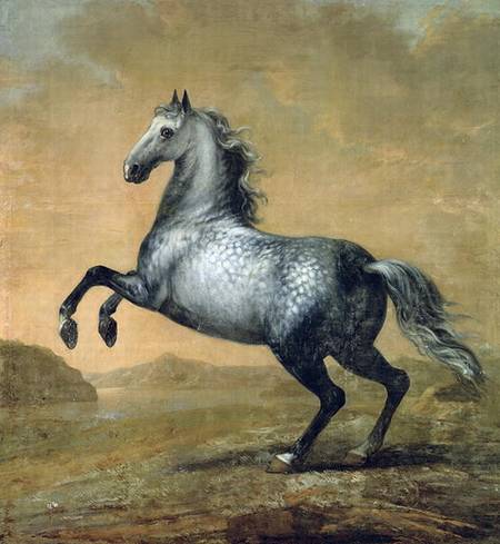 The Little Englishman 's Horse de David Klocker Ehrenstrahl