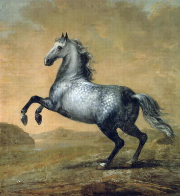 The Little Englishman, King Karl XI (1655-97)'s Horse (oil on canvas) de David Klocker Ehrenstrahl