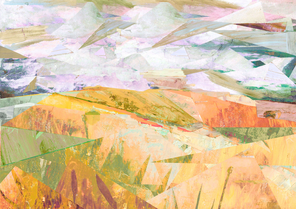 summer fields de David McConochie