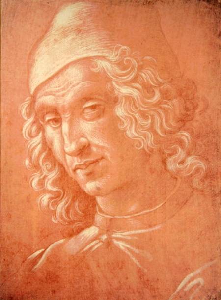 Head of a Man de Davide Ghirlandaio