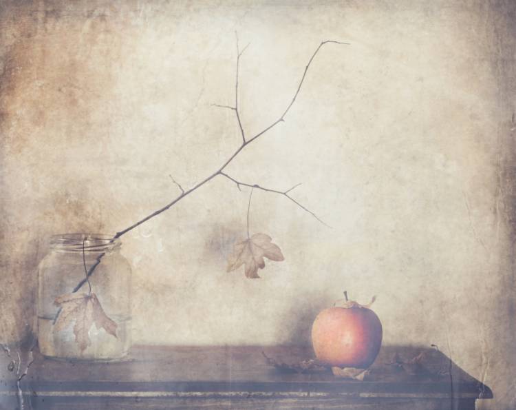 Fall, leaves, fall de Delphine Devos