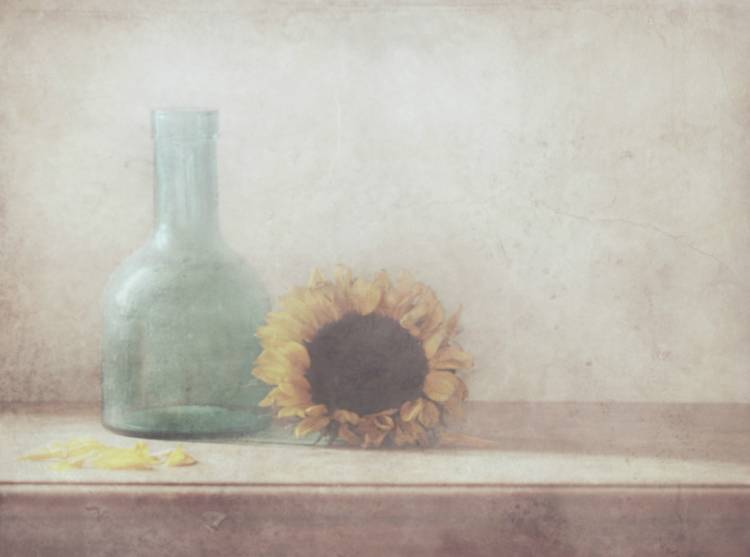 Sunflower de Delphine Devos