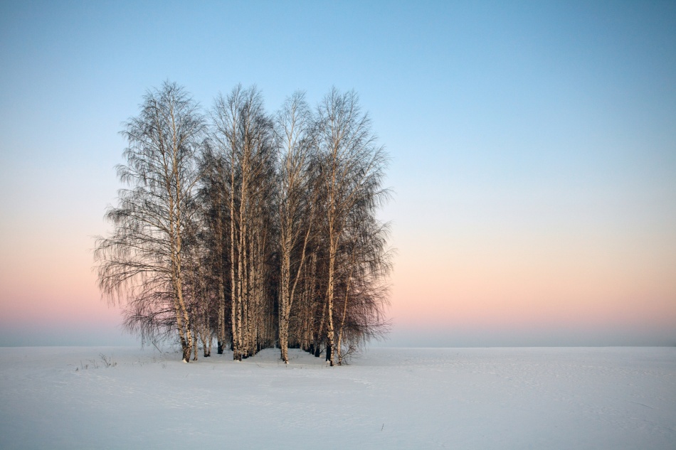 Frozen Spaces de Denis Belyaev