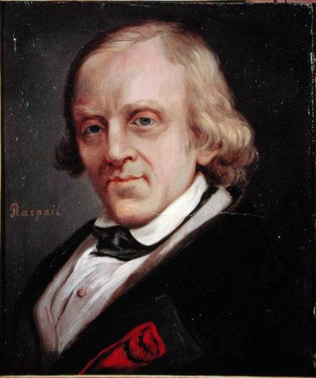 Francois Vincent Raspail (1794-1878) de Denis Bonnet