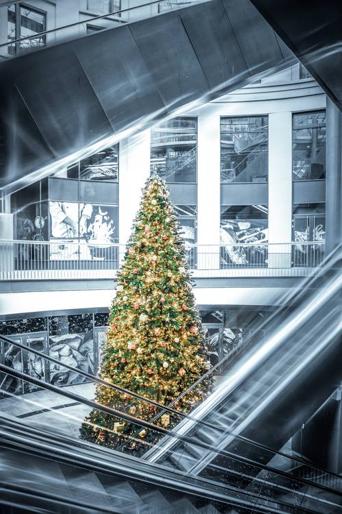 Rolltreppen und Weihnachtsbaum Architektur.jpg (18952 KB)  de Dennis Wetzel