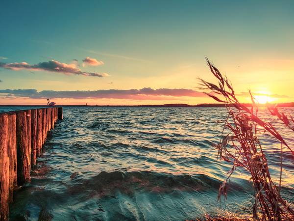 Sonnenuntergang am See mit Buhnen und Schilf de Dennis Wetzel