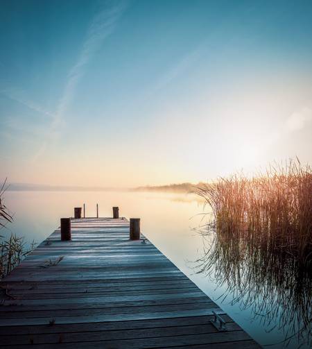 Steg mit Schilf am Hainer See im Sonnenschein.jpg (8893 KB) 