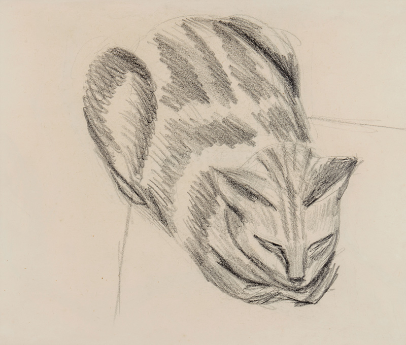 Sleeping Cat (pencil on paper) de Denton Welch