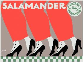 Salamander Shoes