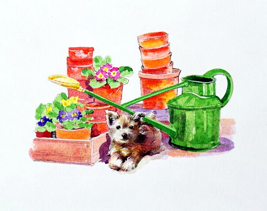 Terrier amongst Terracotta Pots  de Diane  Matthes