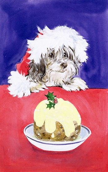 The Christmas Pudding  de Diane  Matthes